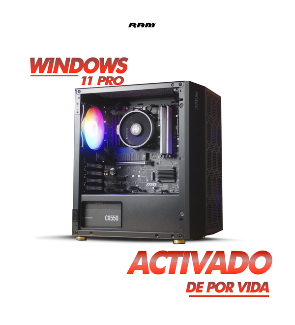 ALPHA PC V2 / RYZEN 5 5600G / B550M – Random Access Mexico